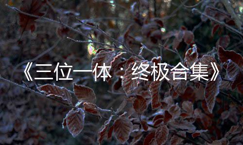 部作位一体体公布传片宣品合合集终极三 四