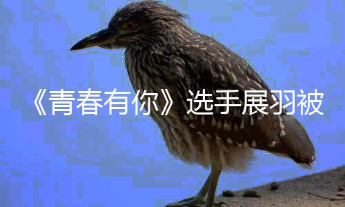 被曝暴事末最春有选手新回你青展羽 展羽家应家暴件始
