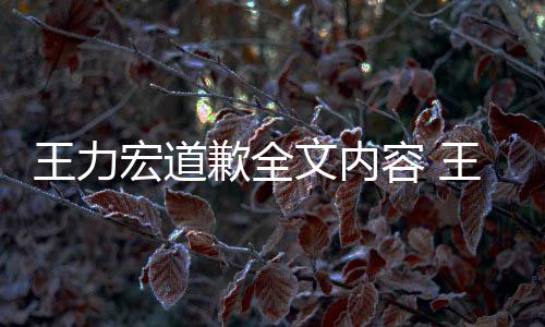 王力文内王力王力容 么了么说新回歉全宏道宏怎宏最应怎