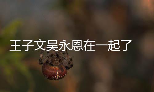 王子文吴 王微博改名宣布起了在一子文恋情永恩与吴永恩