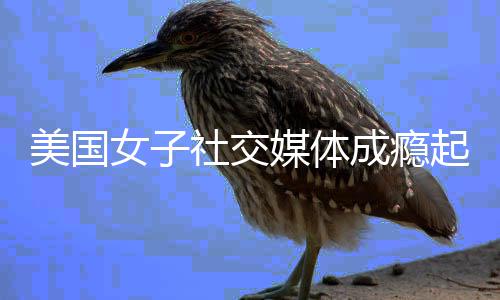 万美美国媒体谷歌成瘾女子赔6起诉 获元社交