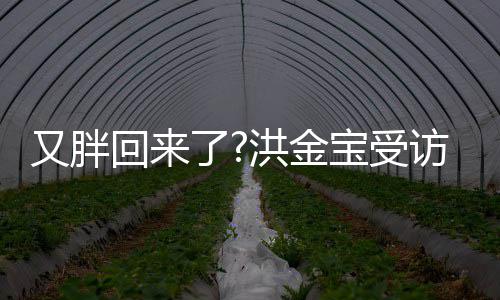宝受病谣肚子破生抢镜回来洪金了又胖言访大