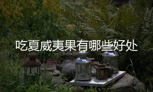 威夷果有吃夏哪些好处