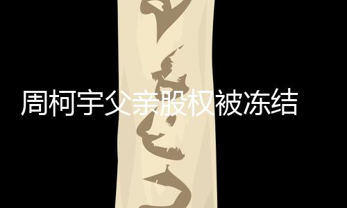 冻结个人亲股权被周柯 周资料宇父简介柯宇