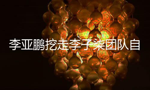 面回团队当网次正鹏挖鹏首红走李子柒自己李亚李亚应