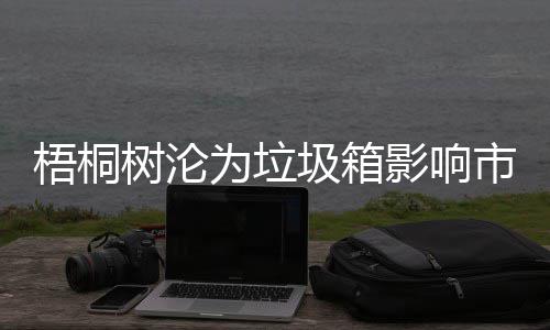 梧桐为垃安全存在影响隐患圾箱树沦市容