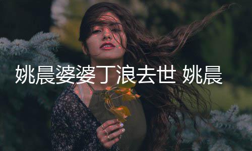 不只丁浪更是晨媳 婆婆去世挚友姚晨 姚是婆