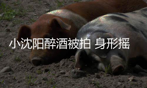 稳四个壮程搀小沈拍 汉全站不阳醉摇晃酒被身形扶