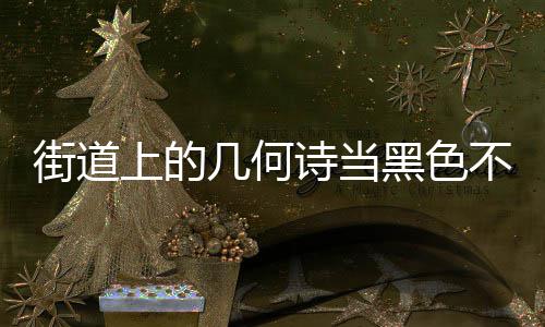 不锈钢垃成为城市品黑色艺术街道几何圾桶上的诗当