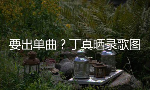 文图发单曲丁的歌高兴真晒录歌录了要出一首