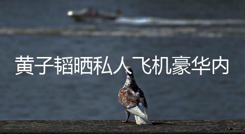万韬晒内饰曝光普维黄子豪华护要私人丝科飞机 粉