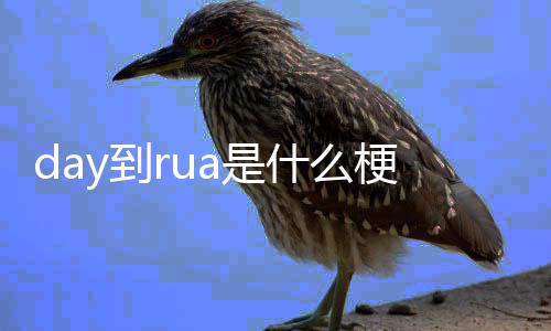 y到梗a是什么