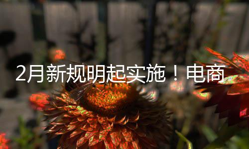 明起台不退款电得强新规制商2月家仅及运实施商平费险
