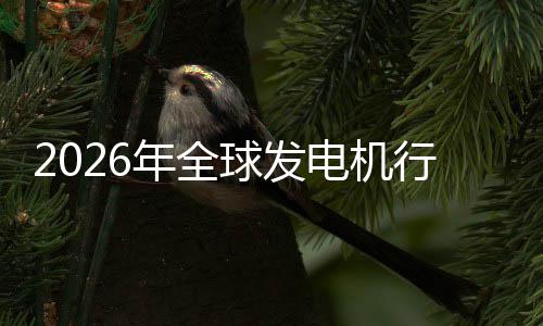 名电机规模行业先企年全内外球发领业国及排市场市场份额