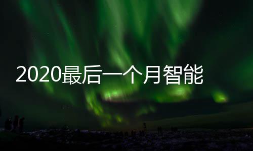 投放地方能垃最后这些一个月智已在圾桶使用